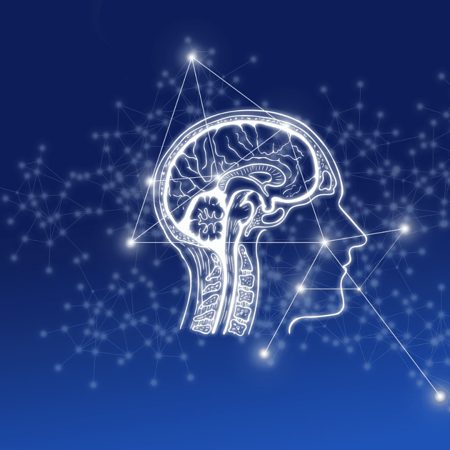 The Connection Between Oral Health and Brain Stroke Royal Dental Clinics The Connection Between Oral Health and Brain Stroke