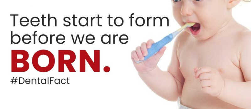 teeth born for kids