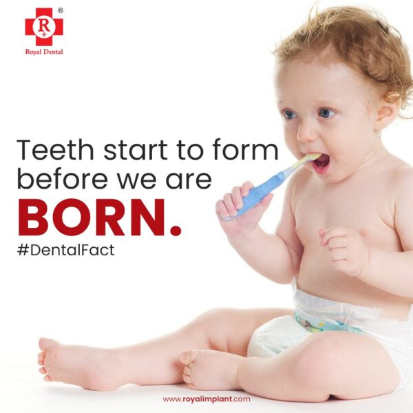 teeth born for kids