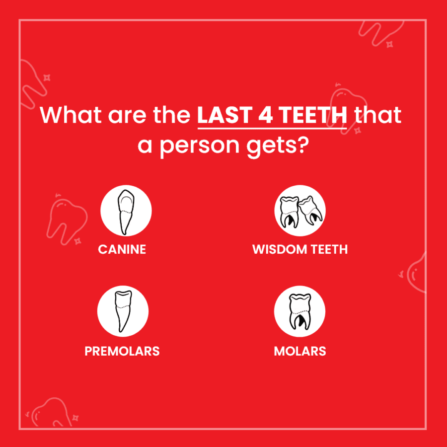 Wisdom Tooth Surgery Recovery: Timeline, Aftercare & Warning Signs Royal Dental Clinics wisdom tooth surgery recovery