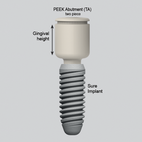 PEEK Dental Implant