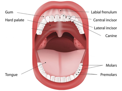 oral cancer test