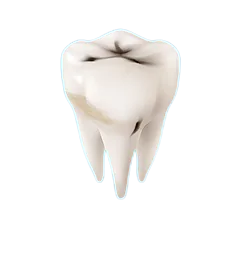 Worn or Damaged Teeth