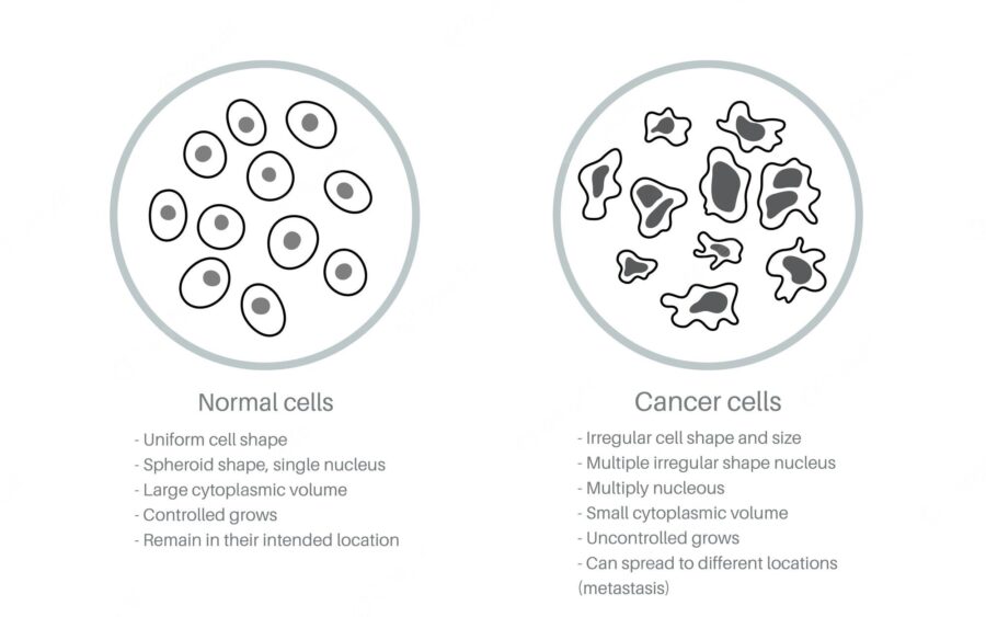 cancer cell