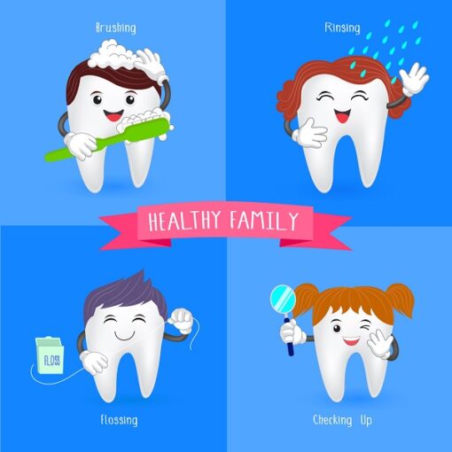 tooth oral hygiene healthy gums