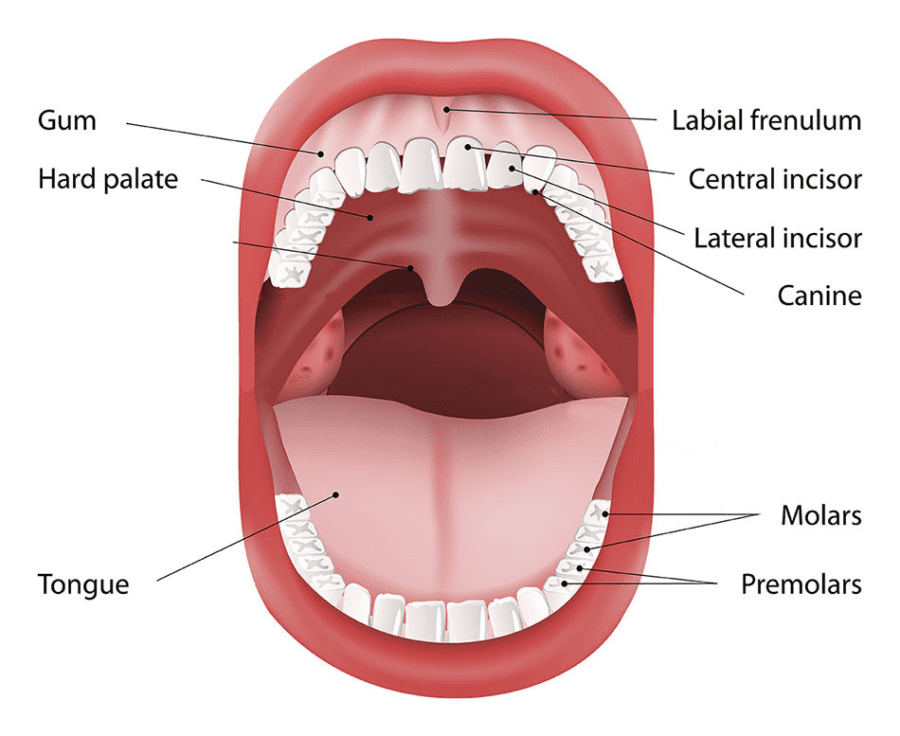 oral cancer test